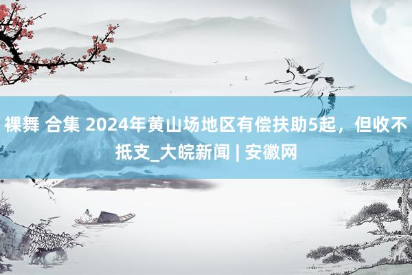 裸舞 合集 2024年黄山场地区有偿扶助5起，但收不抵支_大皖新闻 | 安徽网