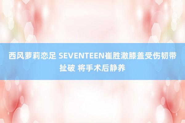 西风萝莉恋足 SEVENTEEN崔胜澈膝盖受伤韧带扯破 将手术后静养