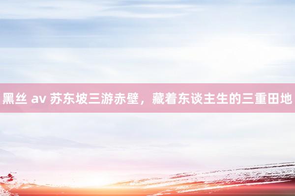 黑丝 av 苏东坡三游赤壁，藏着东谈主生的三重田地