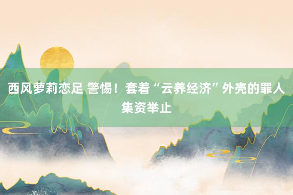 西风萝莉恋足 警惕！套着“云养经济”外壳的罪人集资举止