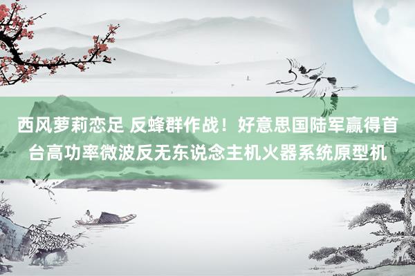 西风萝莉恋足 反蜂群作战！好意思国陆军赢得首台高功率微波反无东说念主机火器系统原型机