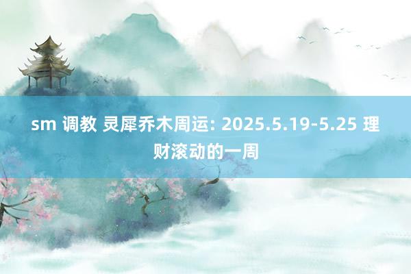 sm 调教 灵犀乔木周运: 2025.5.19-5.25 理财滚动的一周